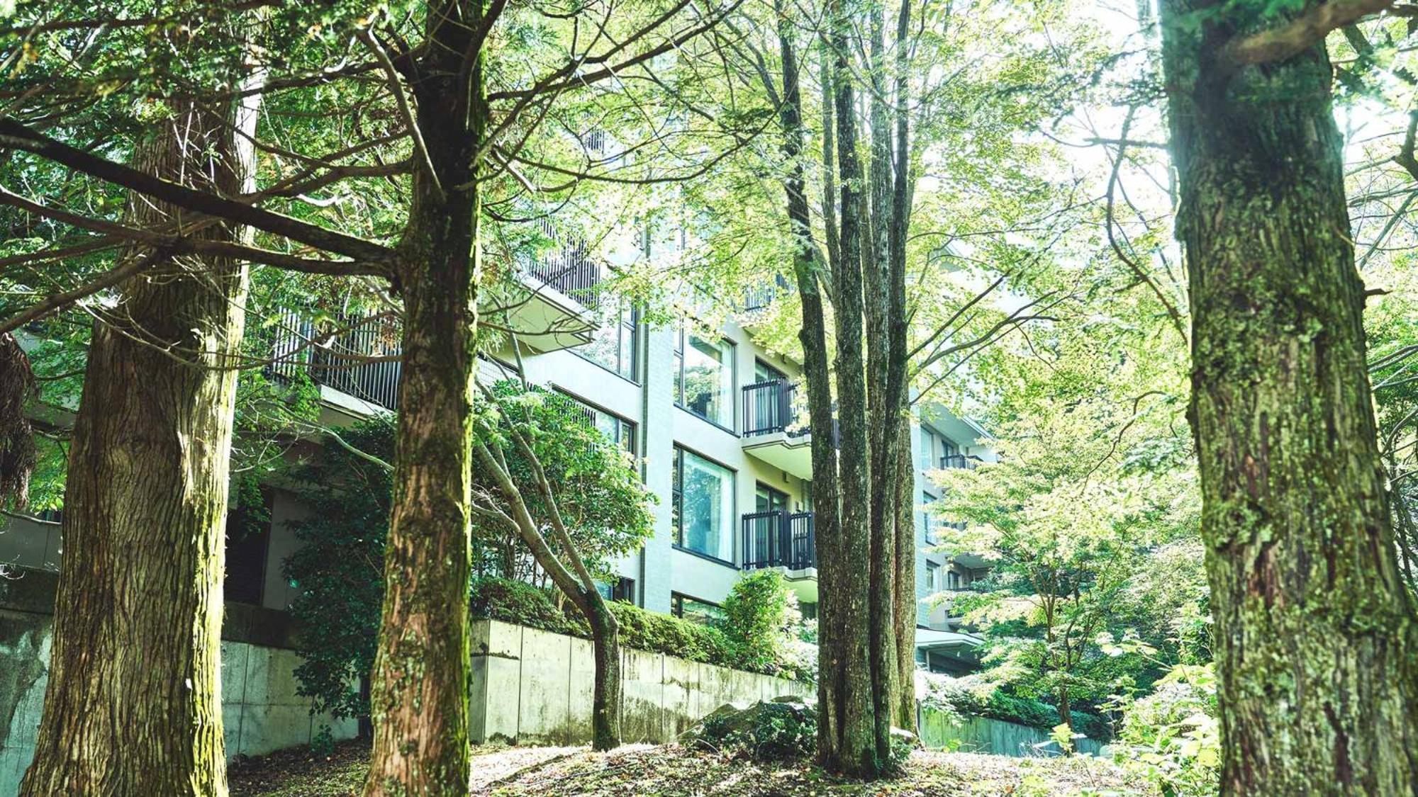 Tokyu Vacations Hakone Gora酒店 外观 照片